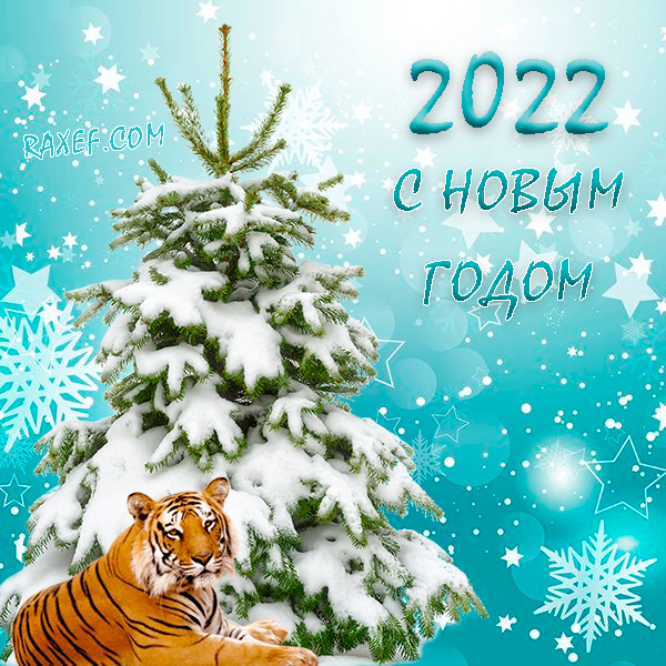С новым годом!!!