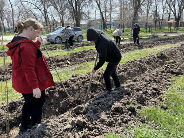 Жашыл мурас акциясы 